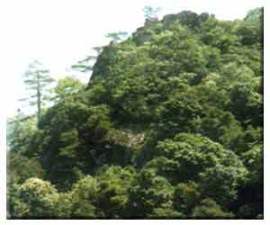 南平湛庐山