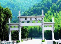杭州梅家坞