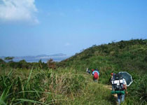 舟山悬山岛
